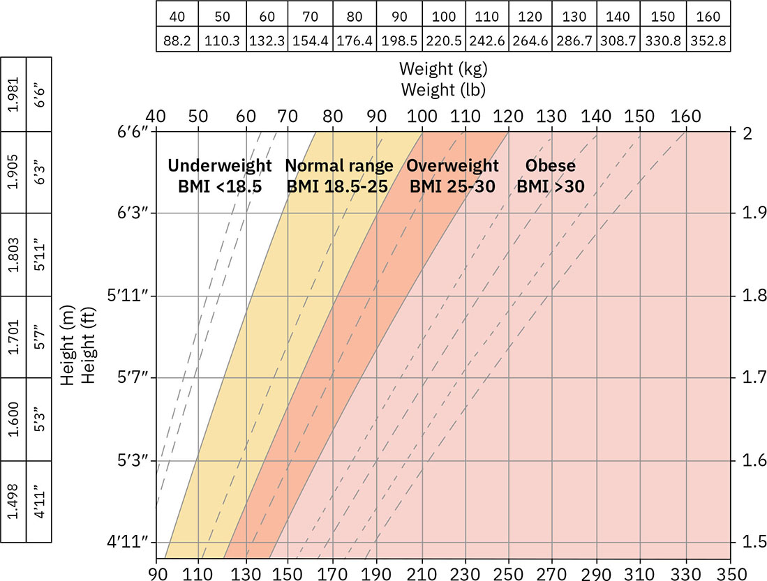 저체중, 정상, 과체중, 비만 구간을 보여주는 키-체중 BMI 분류 차트