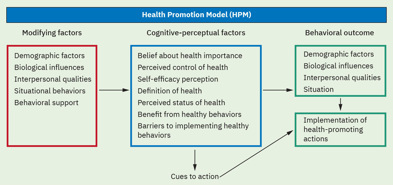 변형 요인, 인지-지각 요인, 건강증진 행동 결과를 연결하는 Health Promotion Model