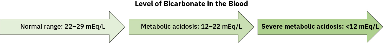 정상 범위와 진행성 대사성 산증 임계치를 보여주는 혈청 bicarbonate 수치 구간
