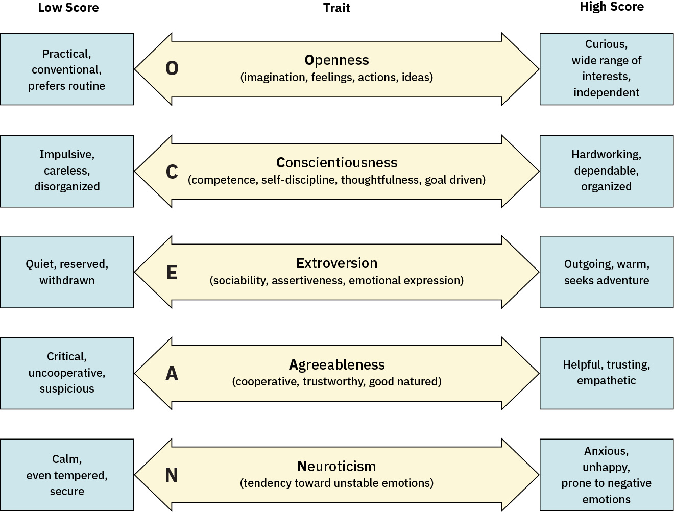 개방성, 성실성, 외향성, 친화성, 신경성의 낮음-높음 양상 차이를 보여주는 Big Five 성격 특성 연속선
