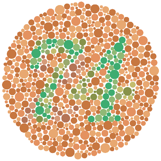 적록 구분 결손 선별에 사용되는 Ishihara 방식 색각 검사판