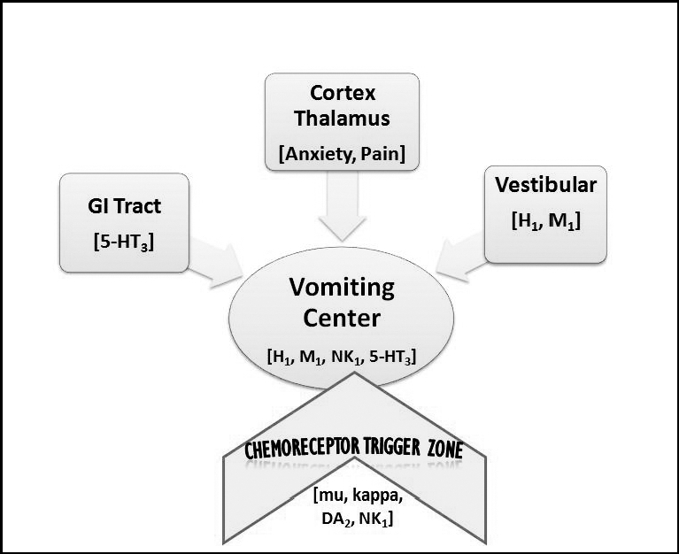 Mapa de la vía del centro del vómito que muestra CTZ y entradas de receptores desde tracto GI, sistema vestibular y corteza