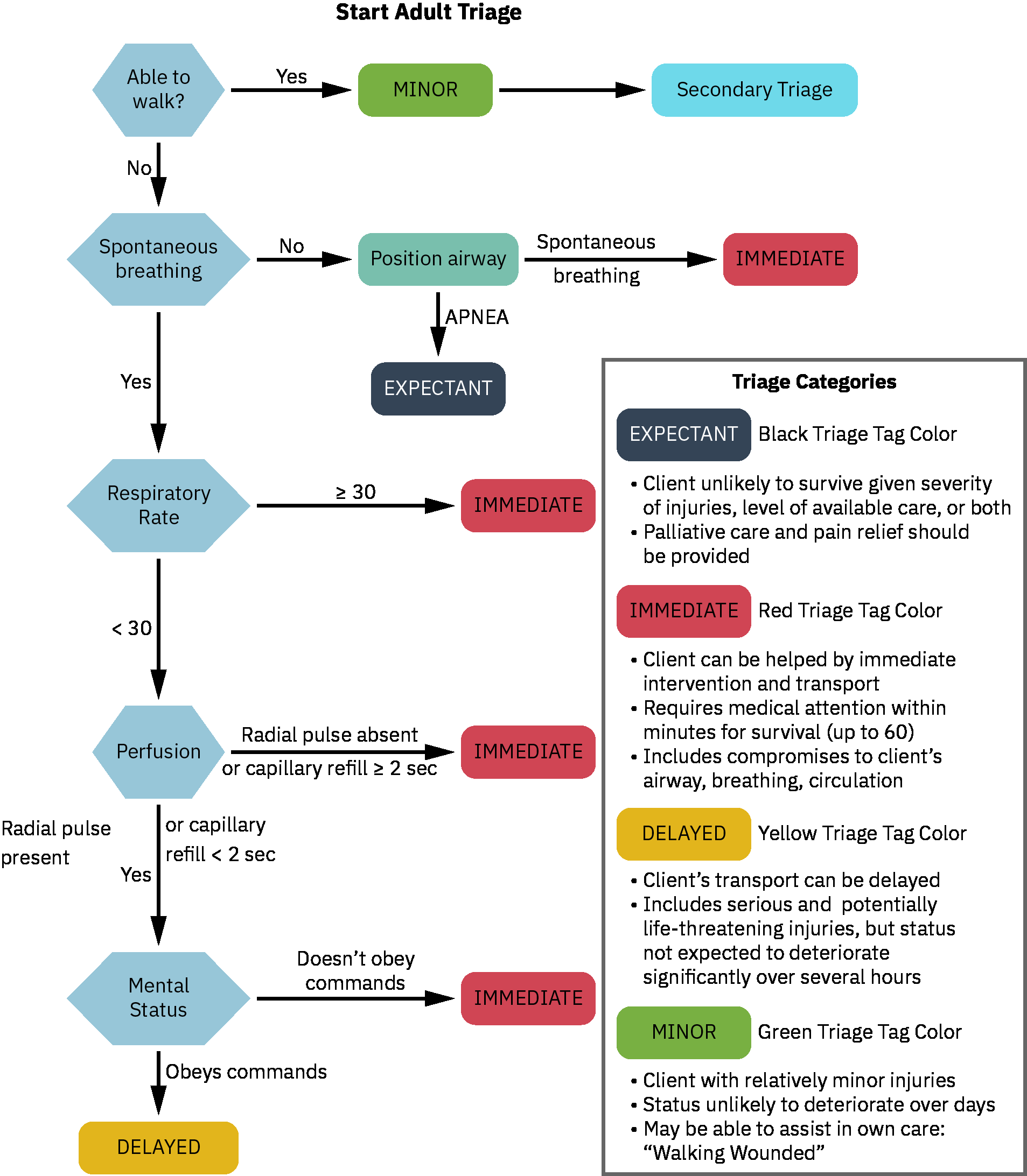 예상, 즉시, 지연, 경증 분류표 범주를 포함한 START 성인 분류 흐름도